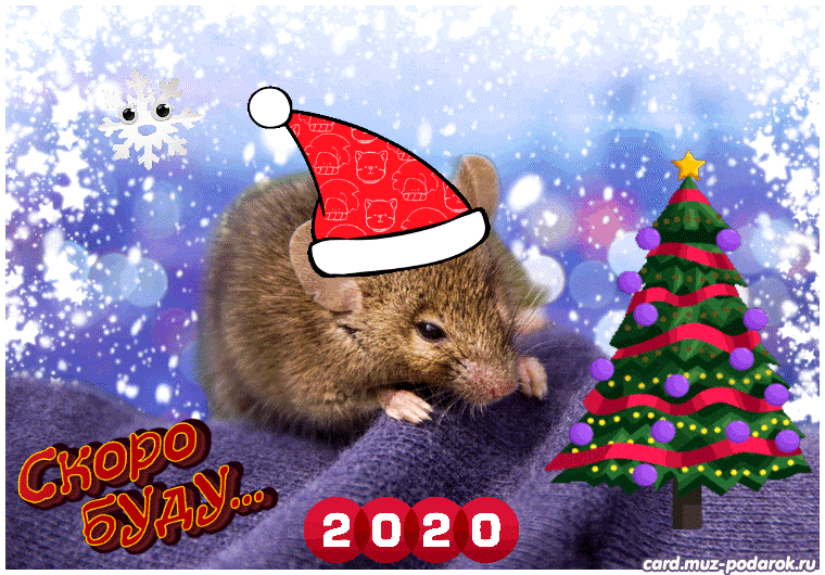 Картинки С Новогодними Мышками С Поздравлениями Анимация