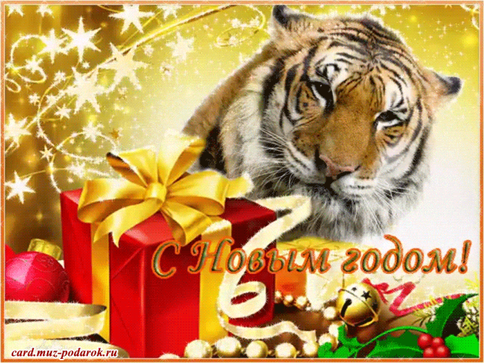 С Новым годом тигра! Поздравляем!