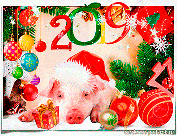 Анимационные открытки с Новым годом 2019. Символ года свинья