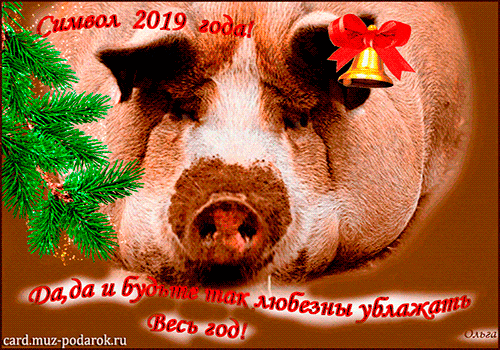 Красивые Новогодние открытки с символом года 2019 свинкой